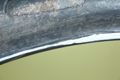 IMG_4292_resize
