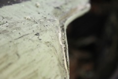 IMG_4831_resize-1