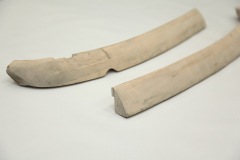 IMG_0245_resize