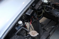 IMG_3876_resize-1