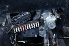 IMG_3935_resize-1