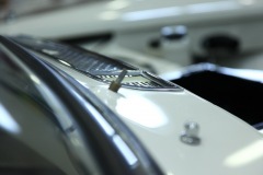 IMG_1753_resize