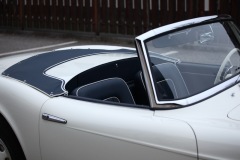 IMG_4795_resize