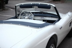 IMG_4817_resize-2