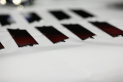 IMG_3561_resize