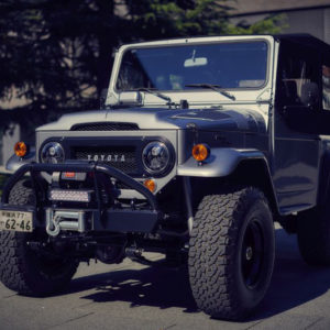 Toyota Land Cruiser Icon